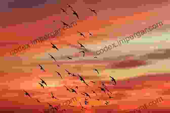 A Flock Of Songbirds Taking Flight Against A Vibrant Spring Sky North On The Wing: Travels With The Songbird Migration Of Spring