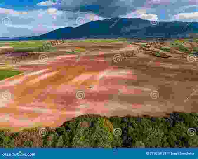 A Vibrant Forest Patch Nestled Amidst Agricultural Lands, Showcasing The Isolation And Diversity Of These Fragmented Ecosystems. Forest Patches In Tropical Landscapes