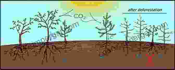 An Illustration Depicting The Complex Network Of Underground Connections Between Trees, Facilitating Communication And Resource Sharing The Long Long Life Of Trees