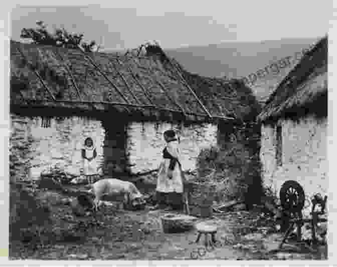 An Irish Family Farming In The Rural South In The 19th Century Rethinking The Irish In The American South: Beyond Rounders And Reelers