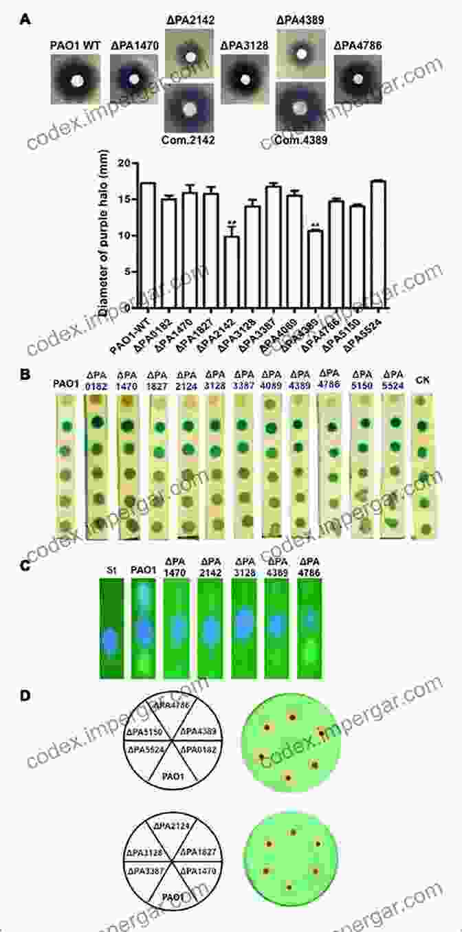 Analytical Techniques For Quorum Sensing Detection Fundamentals Of Quorum Sensing Analytical Methods And Applications In Membrane Bioreactors (Comprehensive Analytical Chemistry 81)