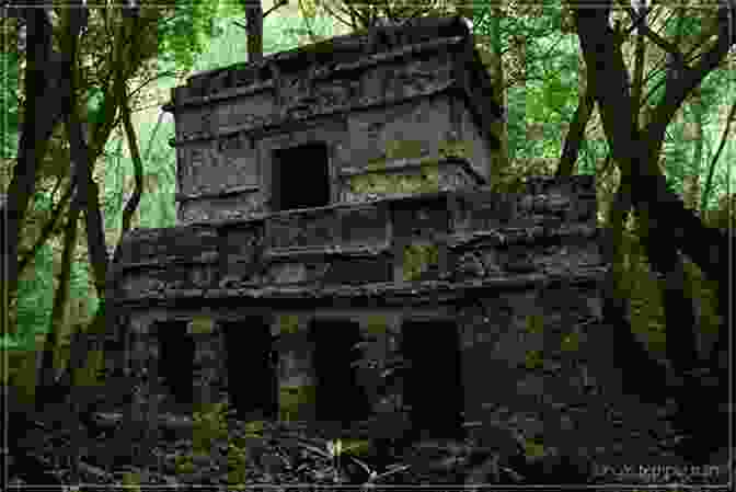 Ancient Maya Ruins Hidden Deep Within The Lush Jungle The Essence Of Maya (Discover The Maya World 1)