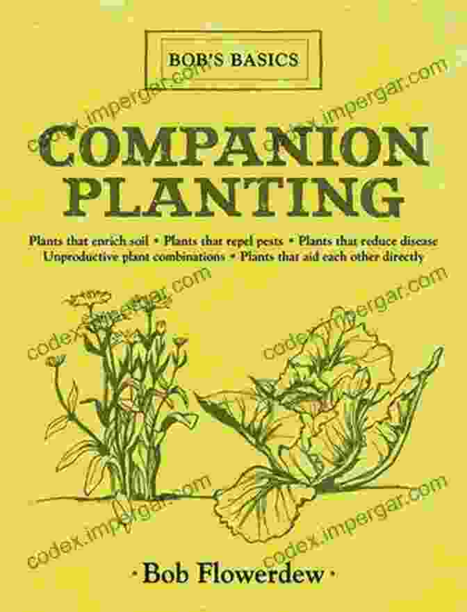 Bob Flowerdew's Companion Planting Guidebook Companion Planting: Bob S Basics Bob Flowerdew