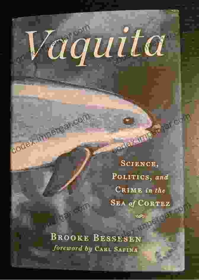 Book Cover Of Science Politics And Crime In The Sea Of Cortez Vaquita: Science Politics And Crime In The Sea Of Cortez