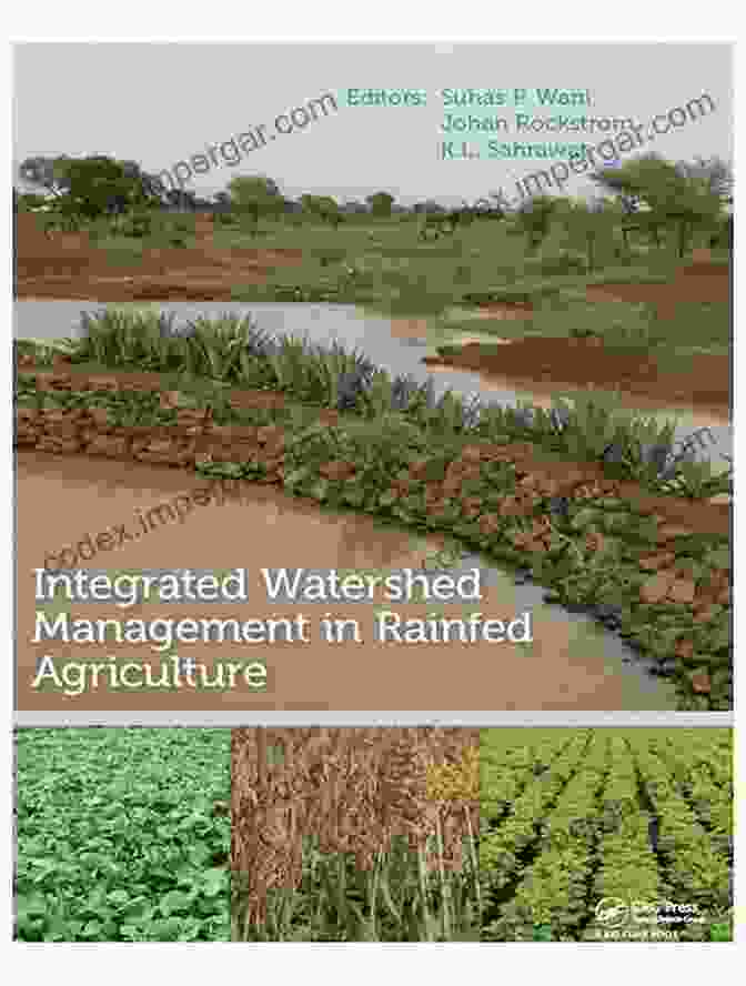 Book Cover: Water Productivity In Rainfed Agriculture Water Productivity In Rainfed Agriculture: Redrawing The Rainbow Of Water To Achieve Food Security In Rainfed Smallholder Systems (IHE Delft PhD Thesis Series)