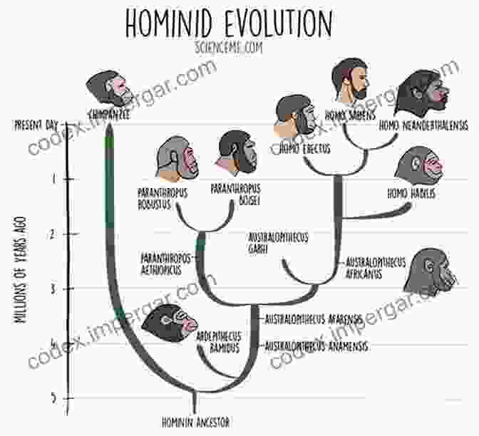 Diagram Depicting The Evolutionary Origins Of Ethnocentrism Race Differences In Ethnocentrism Edward Dutton