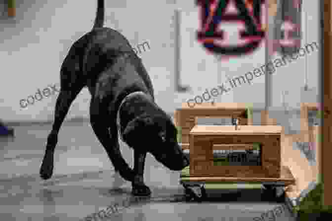 Explosive Detection Dog Sniffing For Concealed Explosives Bombs Always Beep 2nd Edition Revenge Of The Beep : Creating Modern Audio Theater