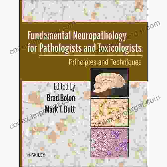 Fundamental Neuropathology For Pathologists And Toxicologists Fundamental Neuropathology For Pathologists And Toxicologists: Principles And Techniques