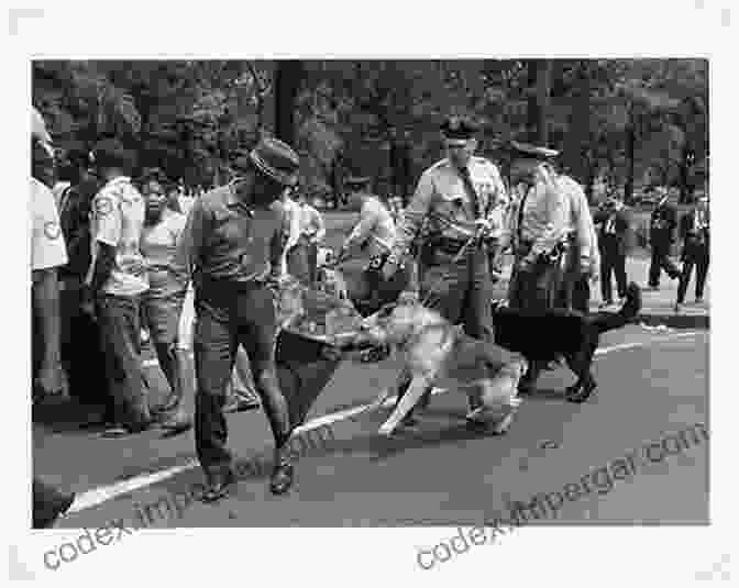 Iconic Photograph Of Protesters Facing Down Police Dogs During The Civil Rights Movement It Did Happen Here: Recollections Of Political Repression In America