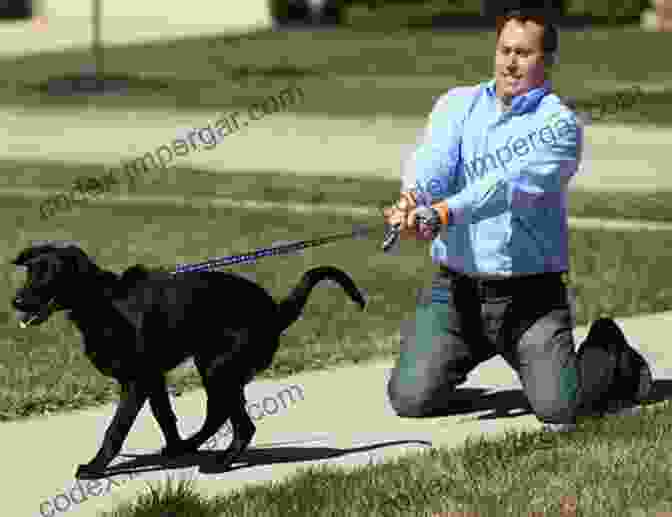 Image Of A Person Restraining A Dog Concise Textbook Of Small Animal Handling: A Practical Handbook