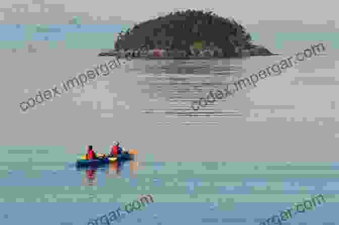 Kayaker Paddling Through A Tranquil Bay In The Salish Sea Views Of The Salish Sea: One Hundred And Fifty Years Of Change Around The Strait Of Georgia