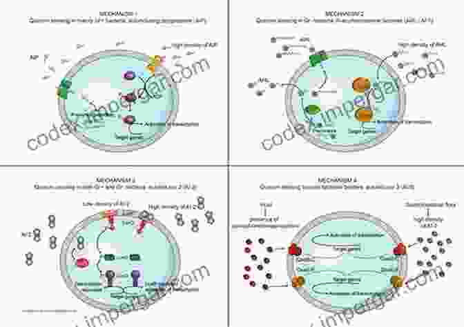 Overview Of Quorum Sensing Mechanism Fundamentals Of Quorum Sensing Analytical Methods And Applications In Membrane Bioreactors (Comprehensive Analytical Chemistry 81)