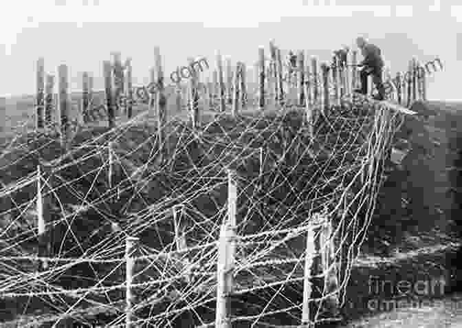 Trenches And Barbed Wire During World War I, Symbolizing The Industrialized Nature Of Warfare Defending Essex: The Military Landscape From Prehistory To The Present