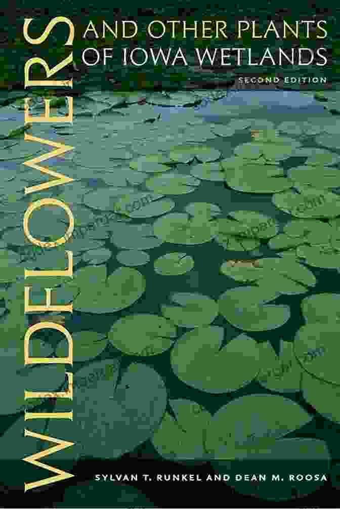 Wildflowers And Other Plants Of Iowa Wetlands 2nd Edition Bur Oak Guide Book Cover Wildflowers And Other Plants Of Iowa Wetlands 2nd Edition (Bur Oak Guide)