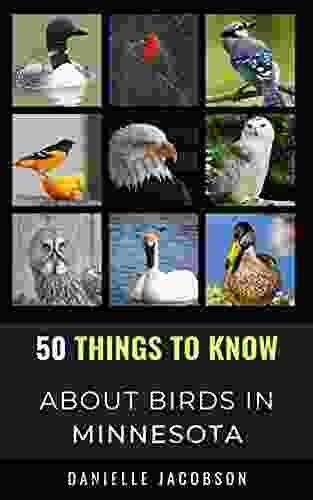 50 Things To Know About Birds In Minnesota : Birding In The Land Of 10 000 Lakes (50 Things To Know About Birds United States)