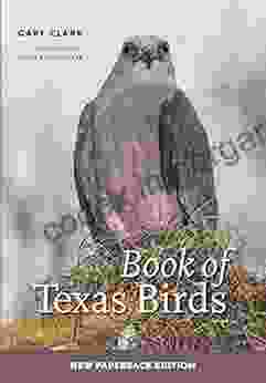 Of Texas Birds Gary Clark