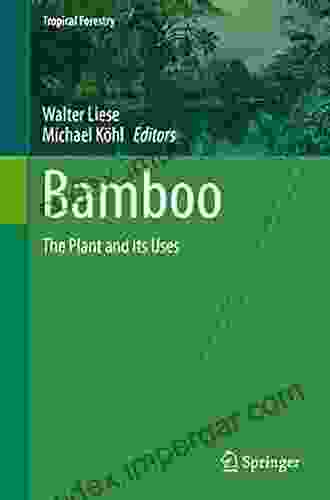 Bamboo: The Plant And Its Uses (Tropical Forestry 10)