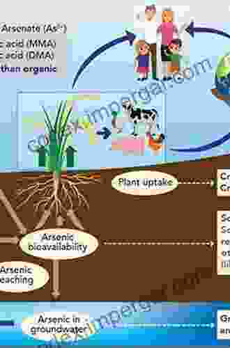 Arsenic In Soil And Groundwater Environment: Biogeochemical Interactions Health Effects And Remediation (ISSN 9)