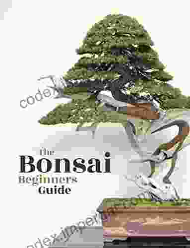 Bonsai: The Beginners Guide Bonsai Empire