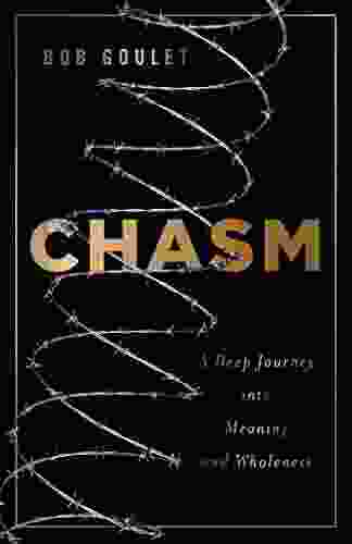 Chasm: A Deep Journey Into Meaning And Wholeness