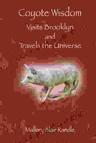 Coyote Wisdom Visits Brooklyn And Travels The Universe