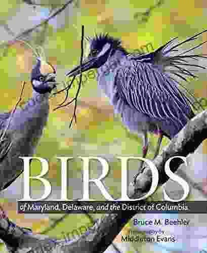 Birds Of Maryland Delaware And The District Of Columbia