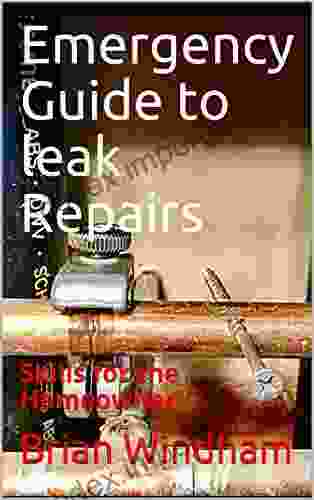 Emergency Guide To Leak Repairs: Skills For The Homeowner