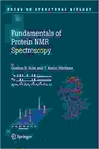 Fundamentals Of Protein NMR Spectroscopy (Focus On Structural Biology 5)