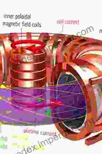 Magnetic Material For Motor Drive Systems: Fusion Technology Of Electromagnetic Fields (Engineering Materials)