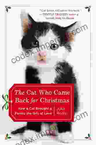 The Cat Who Came Back For Christmas: How A Cat Brought A Family The Gift Of Love