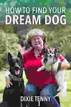 How To Find Your Dream Dog