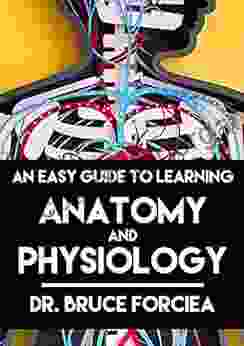 An Easy Guide To Learning Anatomy And Physiology