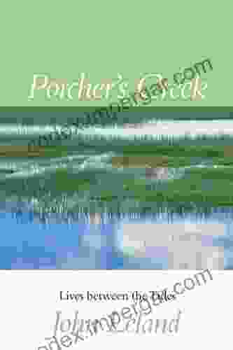 Porcher S Creek: Lives Between The Tides