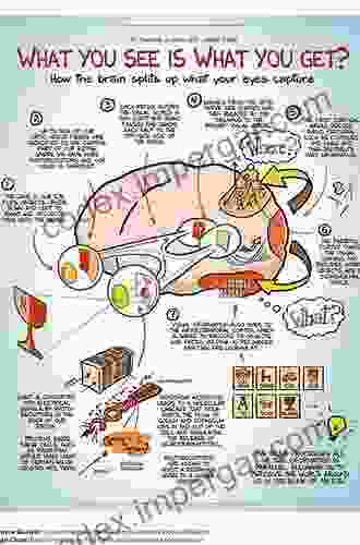 Human Perception Of Visual Information: Psychological And Computational Perspectives