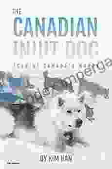 The Canadian Inuit Dog: Icon Of Canada S North