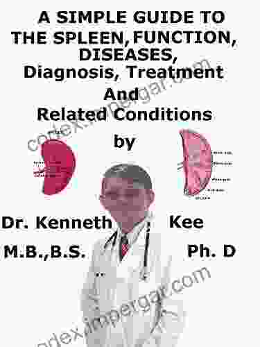 A Simple Guide To The Spleen Functions Diseases Diagnosis Treatment And Related Conditions