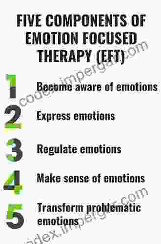 Emotion Focused Therapy (Theories Of Psychotherapy)