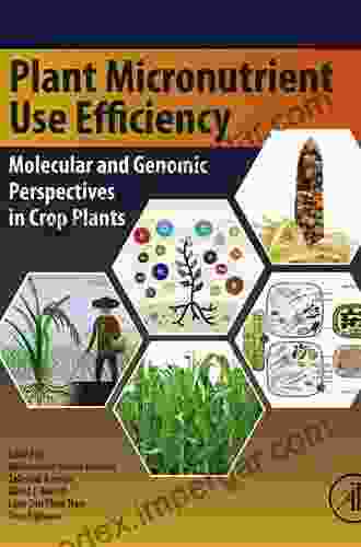 Plant Micronutrient Use Efficiency: Molecular And Genomic Perspectives In Crop Plants