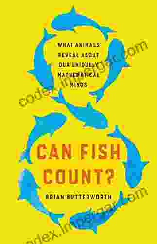 Can Fish Count?: What Animals Reveal About Our Uniquely Mathematical Minds