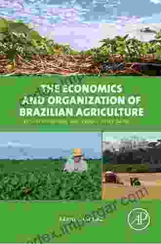 The Economics And Organization Of Brazilian Agriculture: Recent Evolution And Productivity Gains