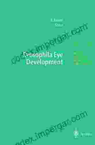 Drosophila Eye Development (Results And Problems In Cell Differentiation)