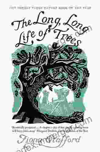 The Long Long Life Of Trees