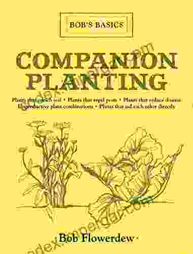 Companion Planting: Bob S Basics Bob Flowerdew