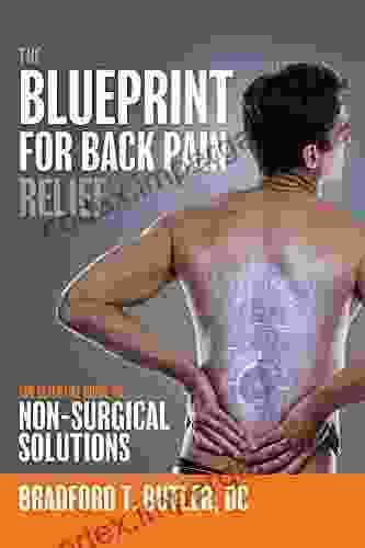 The Blueprint For Back Pain: The Essential Guide To Non Surgical Solutions