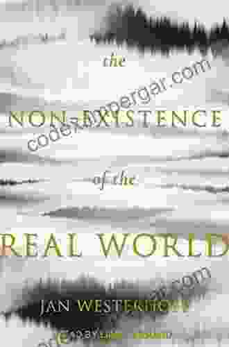 The Non Existence Of The Real World