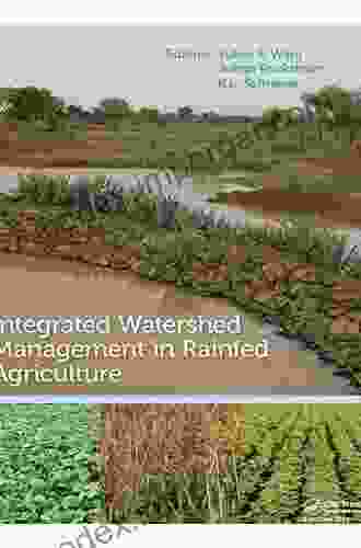 Water Productivity In Rainfed Agriculture: Redrawing The Rainbow Of Water To Achieve Food Security In Rainfed Smallholder Systems (IHE Delft PhD Thesis Series)